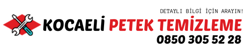 Kocaeli Petek Temizleme